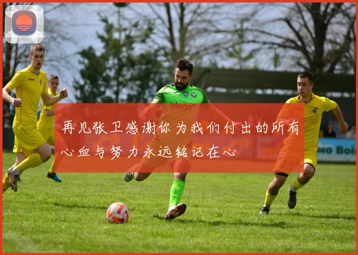 再见张卫感谢你为我们付出的所有心血与努力永远铭记在心