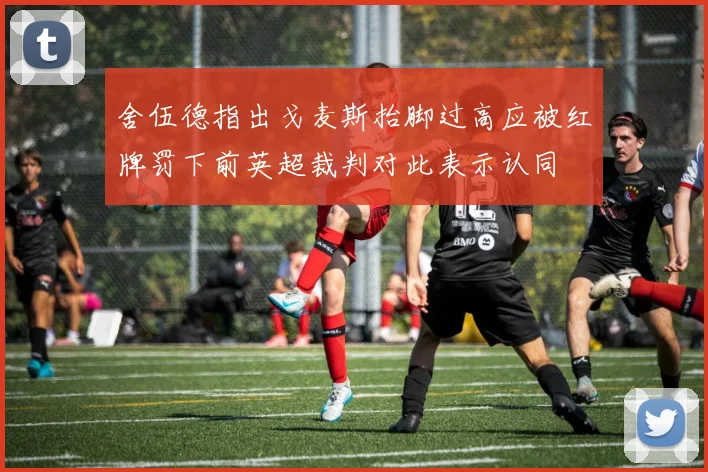 舍伍德指出戈麦斯抬脚过高应被红牌罚下前英超裁判对此表示认同
