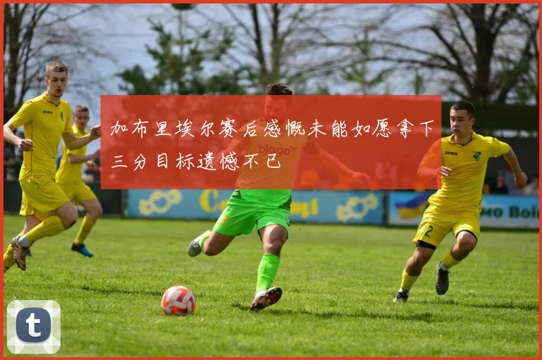 加布里埃尔赛后感慨未能如愿拿下三分目标遗憾不已